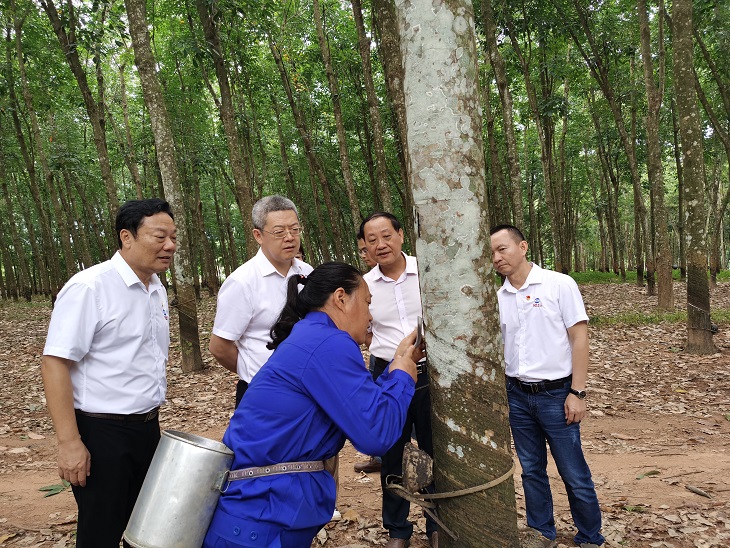 摇钱树娱乐(中国区)有限公司官网